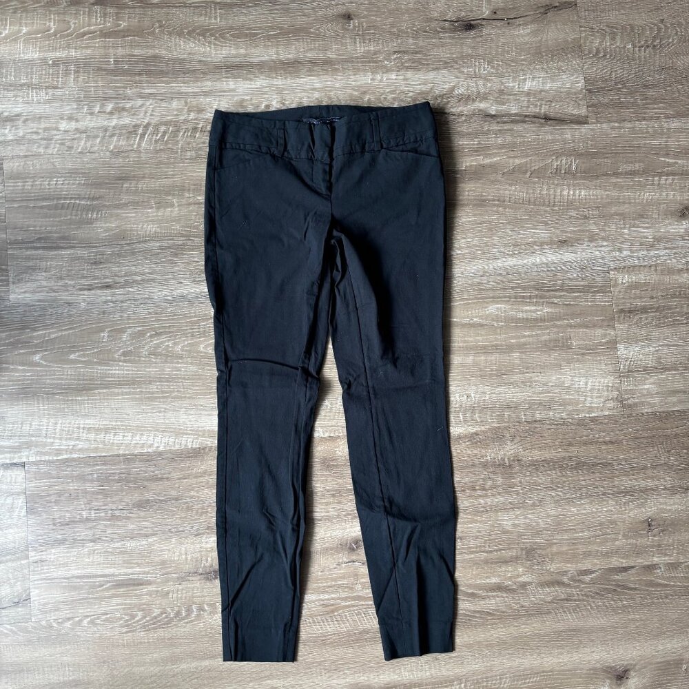 The Limited Exact Stretch Skinny Pants (2R)